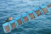 AKM-Diving pocket weight belts (blue, x large) view 1