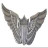 ARMY PILOT LAPEL PIN OR HAT PIN - Size 2 3/4" - VETERAN OWNED BUSINESS view 1