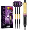RED DRAGON Peter Wright Snakebite World Champion 2020 Brass Edition Darts Set Including Flights and Stems view 1