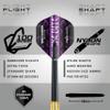 RED DRAGON Peter Wright Snakebite World Champion 2020 Brass Edition Darts Set Including Flights and Stems view 3