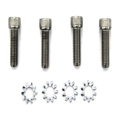 Silver Replacement Allen AR Grip Screw with Exterior Washers - Set of 4