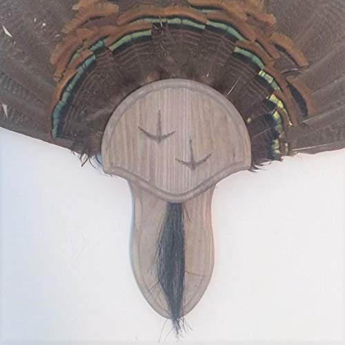 Taxidermists Woodshop Weathered Wood Carved Turkey Mounting Kit with Beard Plate 02
