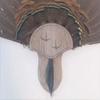 Taxidermists Woodshop Weathered Wood Carved Turkey Mounting Kit with Beard Plate 02 view 1