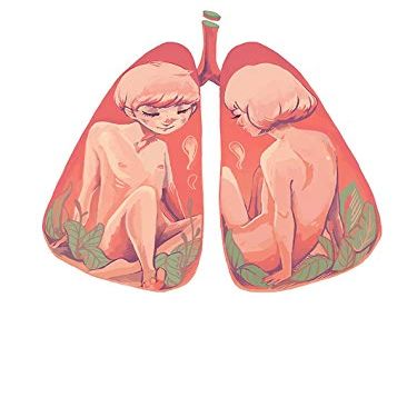 Magnet Between Two Lungs Car Magnetic Vinyl Bumper Sticker 5'' x 4''