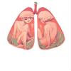 Magnet Between Two Lungs Car Magnetic Vinyl Bumper Sticker 5'' x 4'' view 1