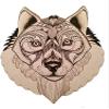Magnet Lupus Car Magnetic Vinyl Bumper Sticker 5'' x 4'' view 1