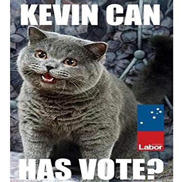 Magnet Kevin Rudd's CATpaign Car Magnetic Vinyl Bumper Sticker 5'' x 4''