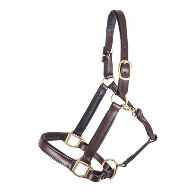 Dura-Tech Premier Saratoga Padded Leather Halter for Horses | Soft Buffalo Leather with Adjustable Fit & Padded Comfort | Size Thoroughbred