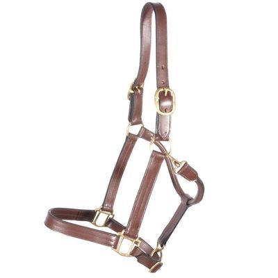 Dura-Tech Premier Belmont Leather Halter for Horses | Triple-Stitched Buffalo Leather | Adjustable Fit with Throat Snap | Durable for Turnout or Stable Use | Size Thoroughbred