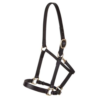 Dura-Tech Premier Lancaster Leather Halter for Horses | Simple Economy Leather Halter with Adjustable Fit & Solid Brass Hardware | Size Cob