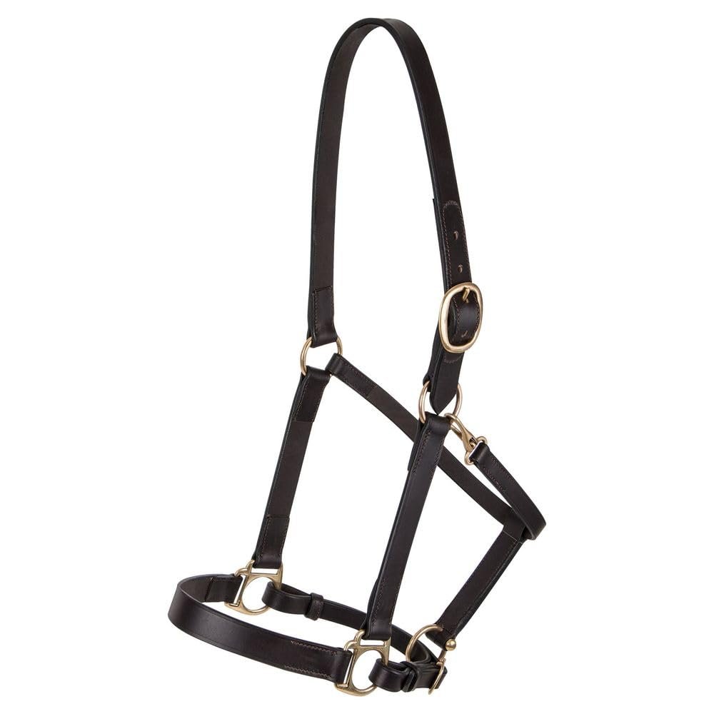 Dura-Tech Premier Lancaster Leather Halter for Horses | Simple Economy Leather Halter with Adjustable Fit & Solid Brass Hardware | Size Cob