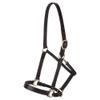 Dura-Tech Premier Lancaster Leather Halter for Horses | Simple Economy Leather Halter with Adjustable Fit & Solid Brass Hardware | Size Cob view 1