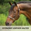 Dura-Tech Premier Lancaster Leather Halter for Horses | Simple Economy Leather Halter with Adjustable Fit & Solid Brass Hardware | Size Cob view 2