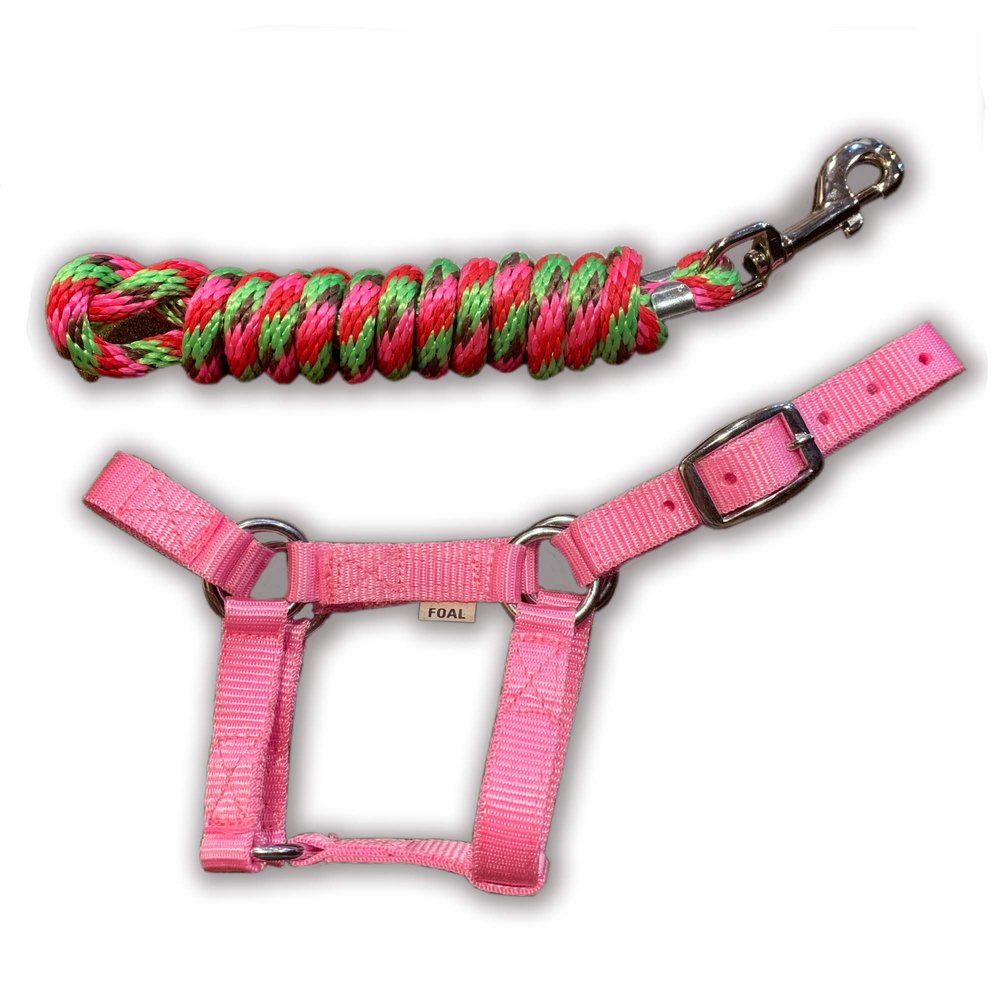 HalterUp Mini Foal Halter and Lead Rope Set Adjustable Soft Halter with 5' Matching Lead Fits Miniature Donkey Foals Multiple Colors (Pink, Foal/Newborn (up to 6 Months))