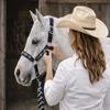 CHALLENGER Nylon Horse Beaded Halter Nickle Plated Hardware w/Lead Rope Tack Lime 606175BK view 2