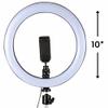 Rhode Island Novelty 10" Ring Light Standup Stream Set, 1 Set per Order view 3