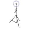 Rhode Island Novelty 10" Ring Light Standup Stream Set, 1 Set per Order view 4