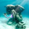 Mermaid Tail and Monofin for Swimming with MER-Shield Tip Protection, Adult Sizes (Aurora Borealis - Pink Monofin, Adult L (JL 12-16)) view 4