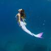 Mermaid Tail and Monofin for Swimming with MER-Shield Tip Protection, Adult Sizes (Aurora Borealis - Pink Monofin, Adult S (JS 4-6)) view 4