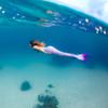 Mermaid Tail and Monofin for Swimming with MER-Shield Tip Protection, Adult Sizes (Aurora Borealis - Lavender Monofin, Adult L (JL 12-16)) view 4