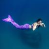 Mermaid Tail and Monofin for Swimming with MER-Shield Tip Protection, Adult Sizes (Paradise Purple - Purple Monofin, Adult S (JS 4-6)) view 4