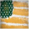 Fan Creations NCAA Baylor Bears Unisex Baylor Flag Sign, Team Color, 6 x 12 view 1