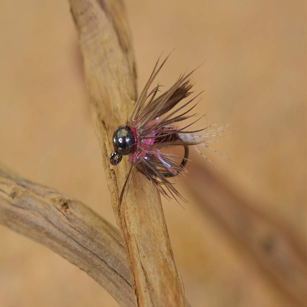Tungsten Bead Frenchie Jig Fly - Euro Nymph Flies - Hanak Hooks (6ct Hook #16)