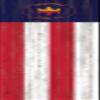 MLS Chicago Fire Unisex Chicago Fire 48" Flag Leaner, Team Color, 48 inch view 1