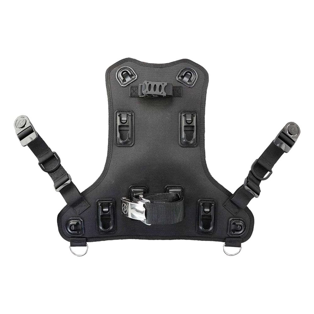 Aqualung Rogue Back Assembly - Black/Gray, Small