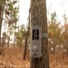 Wildgame Innovations Insite Cell Game Scouting Camera | 32 Megapixel Cellular Trail Camera with Realtime Viewing Option , Works Nationwide with All Networks, WGICM0689, Bark, One Size view 2