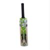 CW T20 Cricket Kit Adult Kashmir Willow Bat Backpack Bag 4Piece Leather Ball view 3