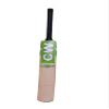 CW T20 Cricket Kit Adult Kashmir Willow Bat Backpack Bag 4Piece Leather Ball view 4