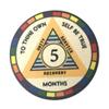 MYRECOVERYSTORE WY5 Rainbow AA Monthly Sobriety Chip (1-11) (Month 5) 5 month AA Sobriety Chip