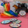 MYRECOVERYSTORE WY5 Rainbow AA Monthly Sobriety Chip (1-11) (Month 5) 5 month AA Sobriety Chip view 3