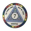 MYRECOVERYSTORE WY7 Rainbow AA Monthly Sobriety Chip (1-11) (Month 7) 7 month AA chip view 1