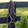 HORZE Warren Soft Adjustable Genuine Leather Horse Halter | Stainless Steel Hardware - Light Brown - Horse view 3