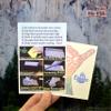 Hang Loose Shaka Sign Surf Sticker | Hawaii Sunny Beach & Palm Tree Decal for Vehicle or Laptop view 2