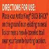 Antler King Ripe Acorn Flavored Buck Brick Attractant for Deer | 4 lb Mineral Brick Deer Attractant view 3