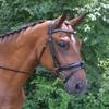 KL Select Red Barn Black Flash Bridle Cob Size view 1