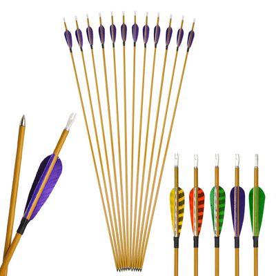 ZSHJGJR 31 Inch Archery Carbon Arrows 900 Spine Hunting Target Arrows with 3 Inch Turkey Feather for Recurve Compound Bow Outdoor Shooting Practice 12 Pcs (Purple)