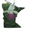 d'ears Lady Slipper on Minnesota Ornament, 3.5 inches, Made in The USA view 1