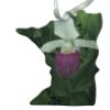 d'ears Lady Slipper on Minnesota Ornament, 3.5 inches, Made in The USA view 2