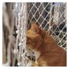 JHKJ Pet Climb Nets, Banister Stair Protection Fence Decor Mesh Nets Heavy Duty Baseball Softball Batting Cage Net Cargo Trailer Netting,1x 4m3.3 * 13.1ft view 1