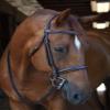 Black Oak "Poppy" Bridle view 1