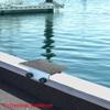 Brocraft Crestliner Boat Downrigger Bracket/Downrigger Bracket for Crestliner SureMount System/SureMount Downrigger Bracket/Crestliner SureMount Accessories view 2