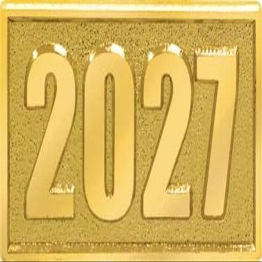 Crown Awards 2027 Chenille Pin, Gold 2027 Themed Award Pins, 100 Pack Prime