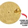 Crown Awards 2026 Chenille Pin, Gold 2026 Themed Award Pins, 100 Pack Prime view 2