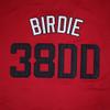 borizcustoms AL Bundy 38DD Chicago Cleavage Baseball Jersey Stitch Sewn Mint (30) view 4