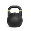 Kettlebells AGYH Black Cast Iron Kettlebell, Professional Strength Training Equipment, Used For Deadlift Press Kettlebell Rowing, 2 Models, 8-24kg (Color : Style2, Size : 16kg/35.2lb) view 1