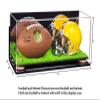 Better Display Cases Acrylic Mini - Miniature (not Full Size) Football and Helmet Display Case with Mirror, Wall Mount, Pink Risers and Turf Base (B46/A019) view 2